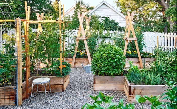 Hedge Trimming — Gardening Services